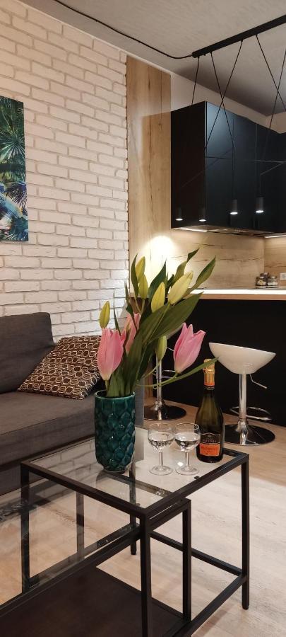 Be My Guest- Fontany Luxury Apartment Metro Wi-Fi Free Parking Zone วอร์ซอ ภายนอก รูปภาพ